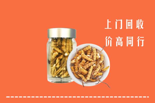 丽江回收冬虫夏草